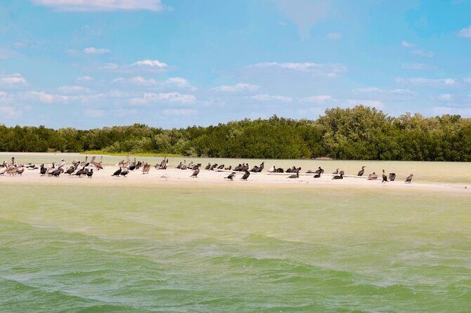 Isla Columpios and Progreso Day Trip - What Travelers Say