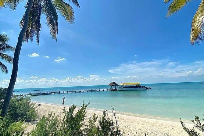 Isla Contoy Adventure Tour & Isla Mujeres from Playa del Carmen - Why This Tour Offers Good Value