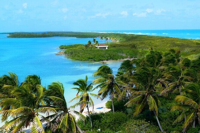 Isla Contoy Day Trip - Who Is This Tour Best For?