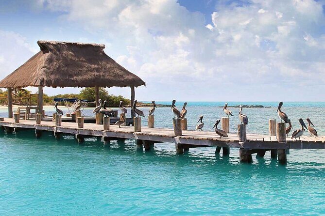 Isla Contoy Day Trip - The Sum Up: Is It Worth It?