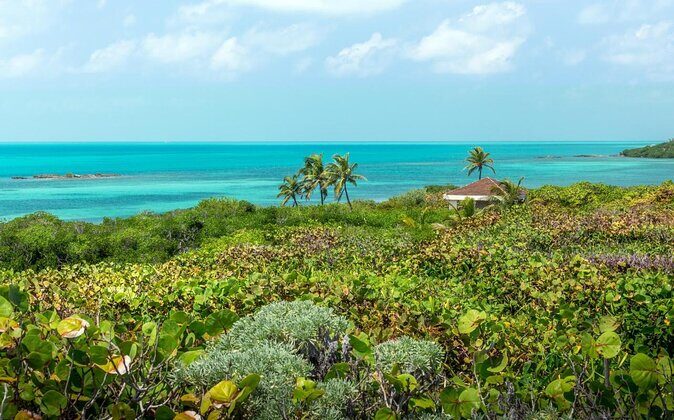 Isla Contoy Hidden Beauty! With Round Transportation From Cancun & Riviera Maya - Isela Contoy Hidden Beauty Tour: An Honest Look