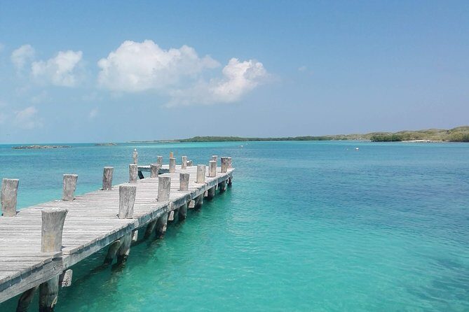 Isla Contoy & Isla Mujeres (from Playa del Carmen) - Pricing and Value