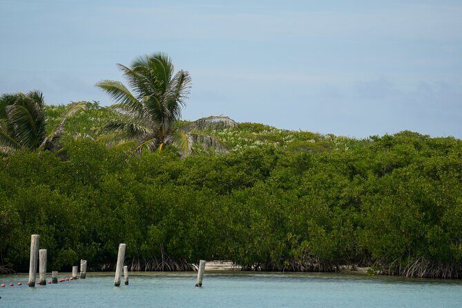 Isla Contoy Snorkeling Experience with Buffet - FAQ