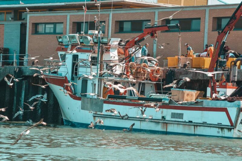 Isla Cristina/Isla Canela: Boat Trip Through the Marshes - What to Expect on the Itinerary