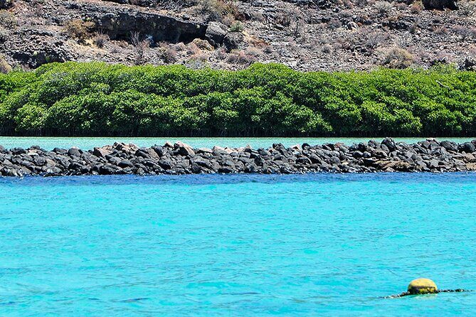 Isla Espiritu Santo and Balandra Tour - A Detailed Look at the Tour Itinerary