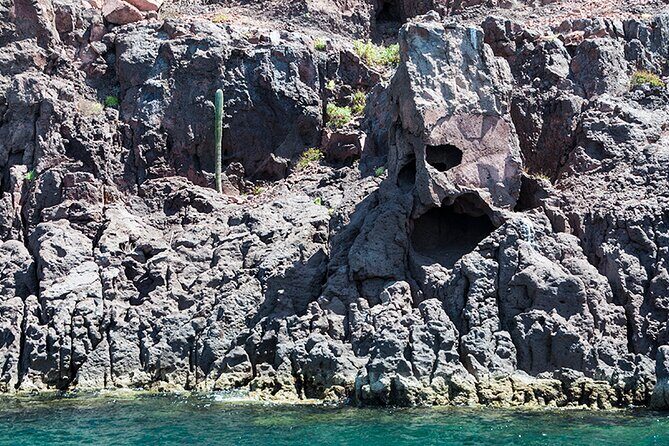 Isla Espiritu Santo and Balandra Tour - Analyzing the Cost and Value