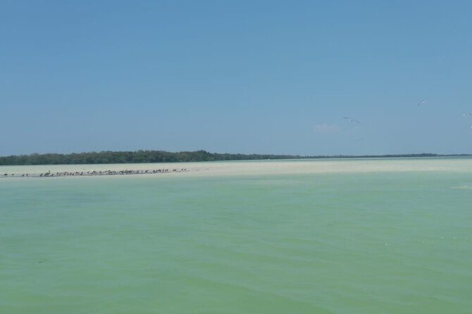 Isla Holbox Day Tour from Cancun with Lunch Included - Final Thoughts: Is It Worth It?