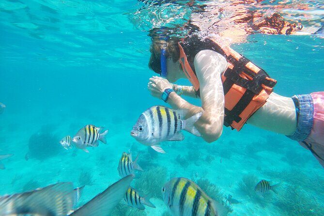 Isla Mujeres and Cancun Snorkeling and Fishing Combo - Final Thoughts