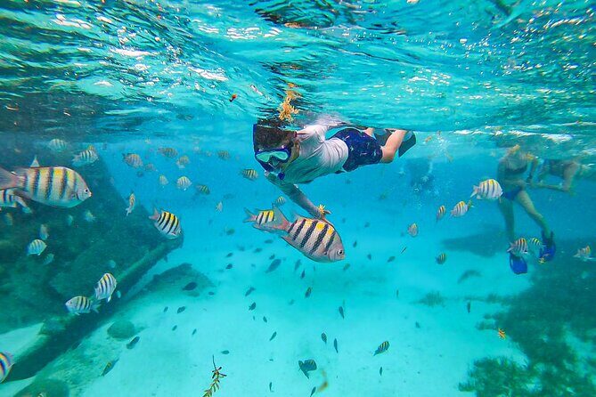 Isla Mujeres and Cancun Snorkeling and Fishing Combo - Frequently Asked Questions