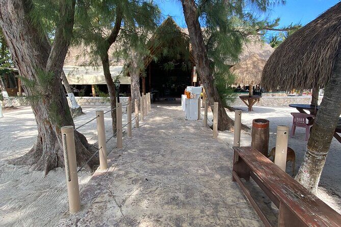 Isla Mujeres Basic Catamaran Tour with Snorkeling and Open Bar - Practical Tips for Travelers