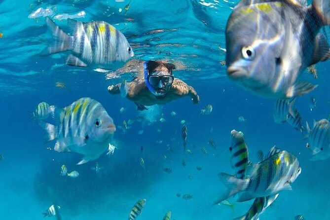 Isla Mujeres Catamaran Adventure All Inclusive from Cancun - What Travelers Say