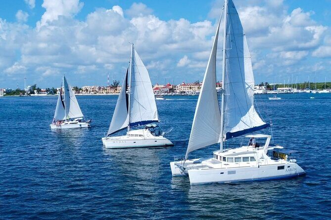 Isla Mujeres Catamaran Tour with Open Bar from Tulum and Akumal - Detailed Breakdown of the Itinerary