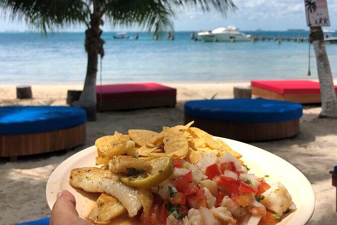 Isla Mujeres Catamaran Tour with Snorkeling at MUSA, Buffet Lunch & Open Bar - Authentic Experiences from Reviews