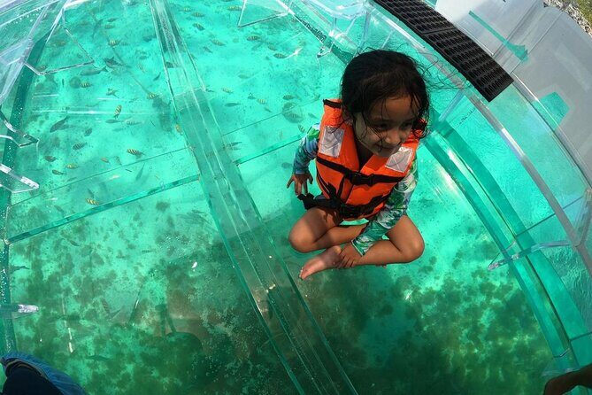 Isla Mujeres: Coral Reef Views from a Clear Boat - Final Thoughts