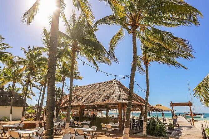 Isla Mujeres Cruise with Beach Club, Snorkel, Lunch and Open Bar - The Final Word: Is This Tour for You?