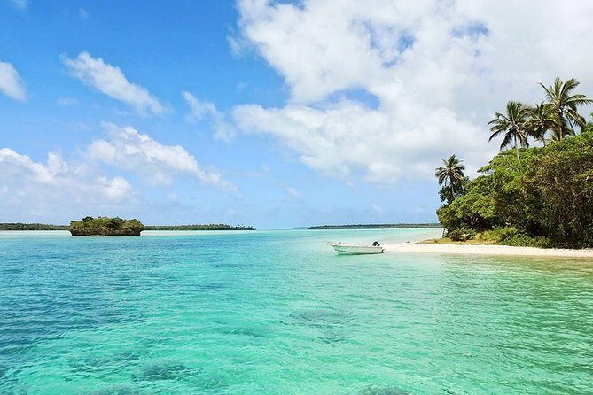 Isla Mujeres Deluxe (boat, Snorkeling, Free Time At Isla Mujeres Downtown-food) - Snorkeling and Marine Life