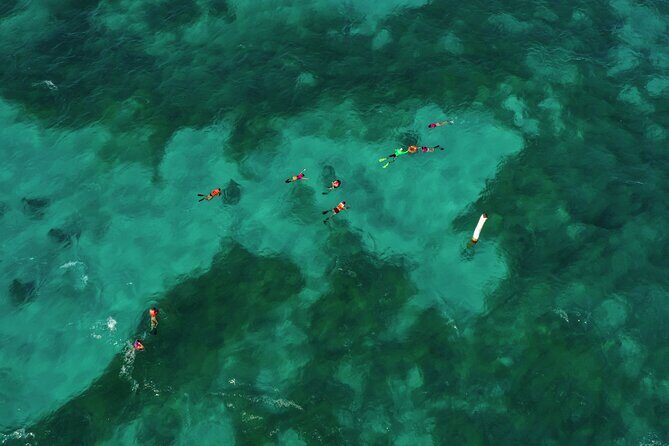 Isla Mujeres Island and Snorkeling Tour - Final Thoughts