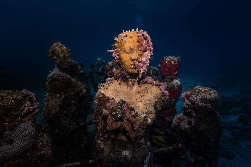 Isla Mujeres: MUSA and the Manchones Reef: 2 Tank Dive Tour - Key Points