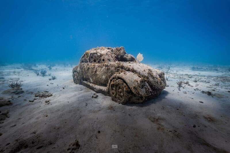 Isla Mujeres: MUSA and the Manchones Reef: 2 Tank Dive Tour - Why this tour stands out