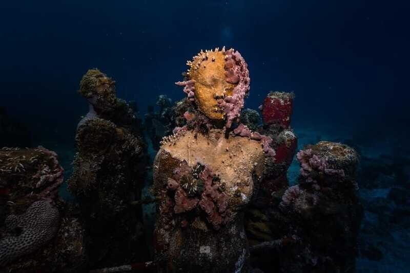 Isla Mujeres: MUSA and the Manchones Reef: 2 Tank Dive Tour - Frequently Asked Questions