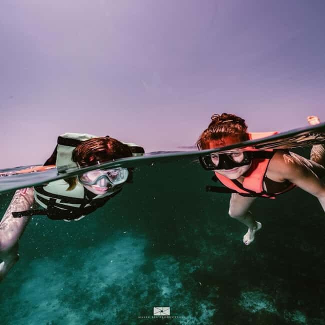 Isla Mujeres - MUSA and the Manchones Reef - Snorkel - An Honest Look at the Tour