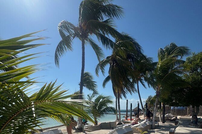 Isla Mujeres Plus Tour with Snorkeling Buffet and Open Bar - Key Points