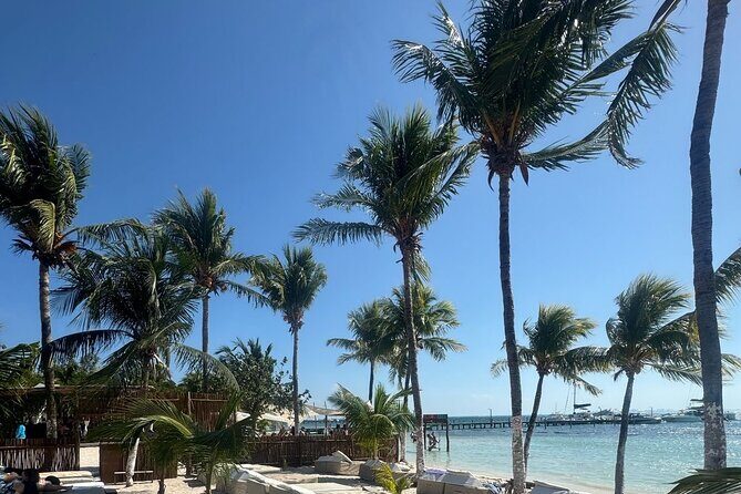 Isla Mujeres Plus Tour with Snorkeling Buffet and Open Bar - What Travelers Say