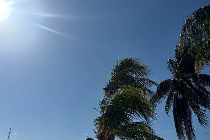 Isla Mujeres Plus Tour with Snorkeling Buffet and Open Bar - Who Is This Tour Best For?