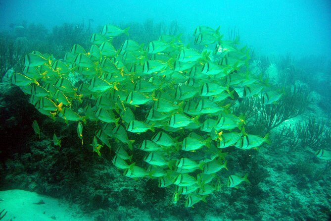 Isla Mujeres Private Dream Getaway - FAQ