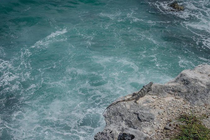 Isla Mujeres Private Excursion - Detailed Breakdown of the Itinerary