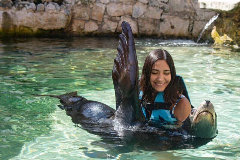 Isla Mujeres: Sea Lion & Manatee Interaction with Buffet - Key Points