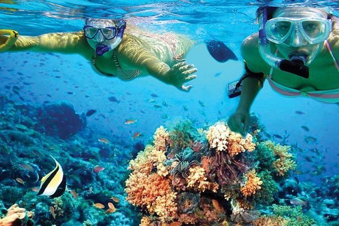 Isla Mujeres tour in a Catamaran with snorkel, open bar, lunch - FAQs