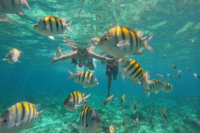 Isla Mujeres Yacht Tour Cancun - Final Thoughts