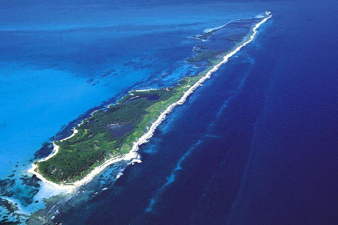 Island Contoy Adventour & Buffete & Isla Mujeres only from Cancun - What’s Included and What to Consider