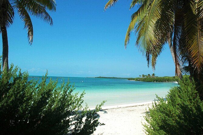 Island Contoy Adventour & Buffete & Isla Mujeres only from Cancun - Pricing and Value