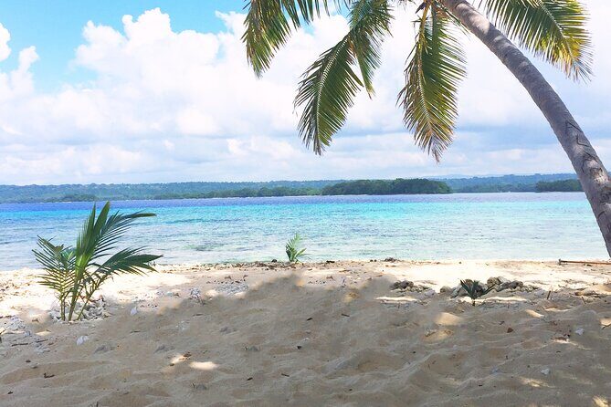 Island Day Tour Santo's Best Snorkeling Marine Sanctuary - Who Should Consider This Tour?