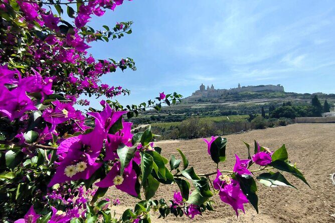 Island Day Tour with a Private Local Driver - Key Points