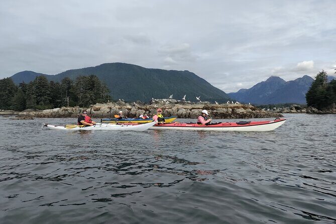 Island Discovery Kayak Paddle in Sitka, Alaska - Island Discovery Kayak Paddle in Sitka, Alaska: An Authentic Coastal Adventure