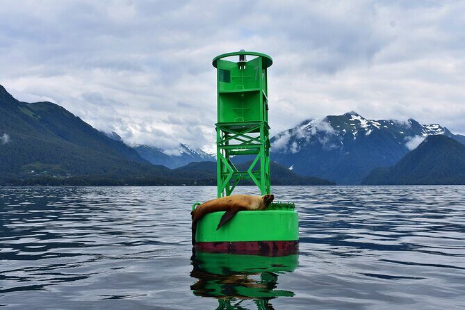 Island Discovery Kayak Paddle in Sitka, Alaska - What’s Included and How It Works
