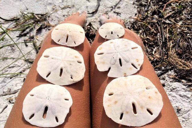 Island Hopping and Snorkeling Trip - Starting Point and Logistics