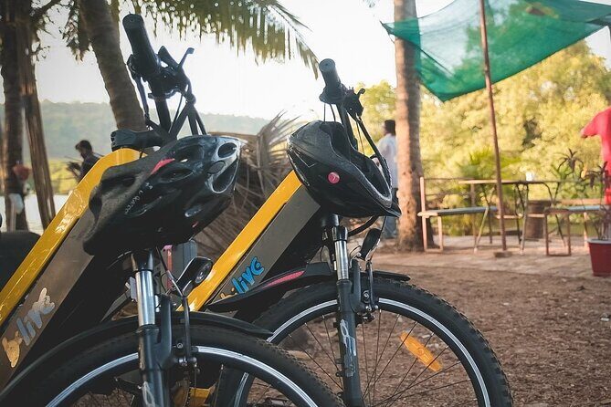Island Hopping: Day E-Bike Exploration - Authentic Insights from Reviewers
