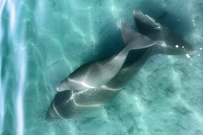 Island Life Adventures | A Day at Dirk - Practical Details and What to Expect