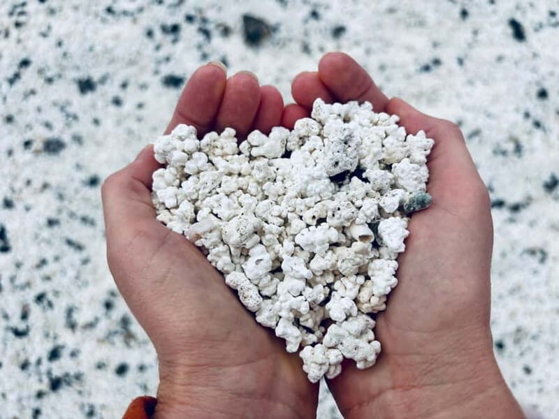 Island Lobos: Lobos by speedboat, Popcorn Beach & Dunes Tour - Key Points