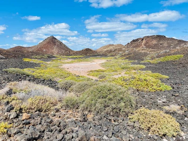 Island Lobos: Lobos by speedboat, Popcorn Beach & Dunes Tour - Final Thoughts
