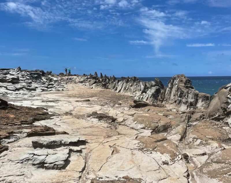 Island of Maui Customized Half-Day Private Tour - Key Points