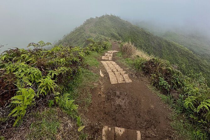 Island of Maui Customized Half Day Tour - The Logistics: What You Need to Know