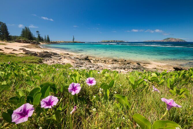 Island Orientation Package incl. Return Airport Transfers & Tour - Analyzing the Value and Cost