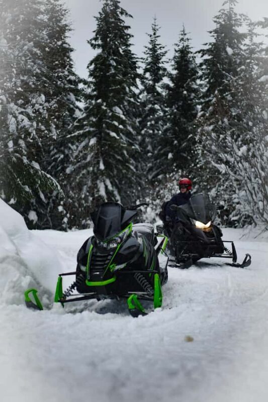 Island Park: Full Day Snowmobile Rental - Who Will Love This Experience?