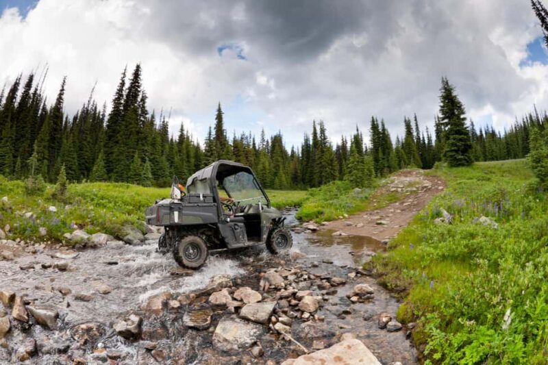 Island Park: Full-Day UTV Adventure - Exploring the Adventure in Detail