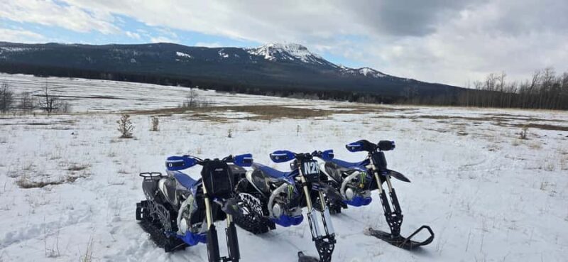 Island Park: Guided Snowbike Adventure - The Verdict: Is It Worth It?